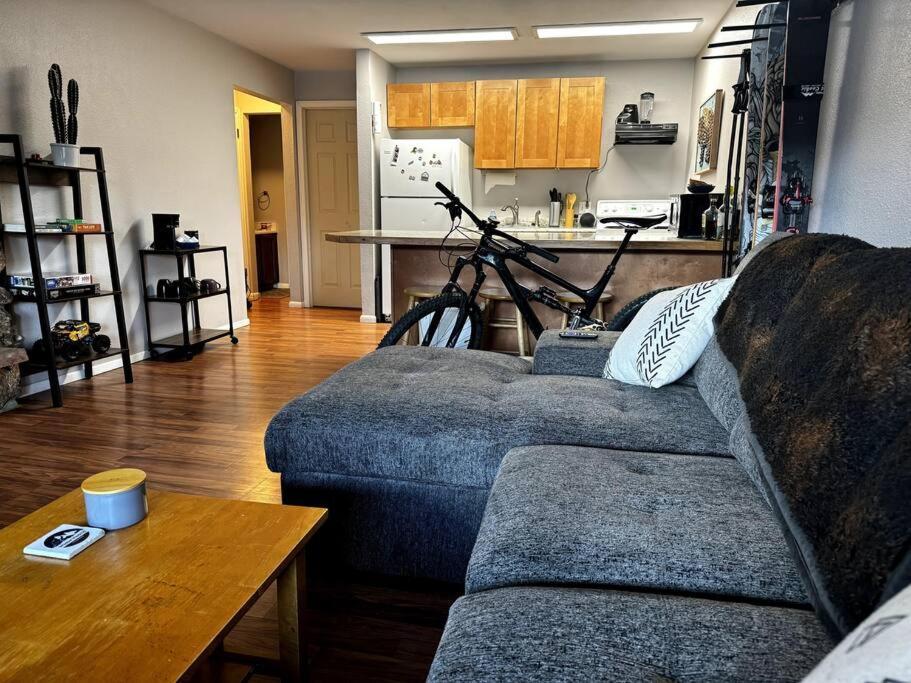 Cozy Condo In Winter Park - On Blue Bus Route - Walk To Downtown, Restaurants, Grocery Kültér fotó